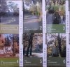 Seria 'Parki Krakowa' • Komplet wydawniczy 16 tomów